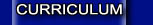 CURRICULUM