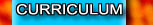 CURRICULUM