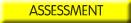 ASSESSMENT