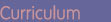 Curriculum